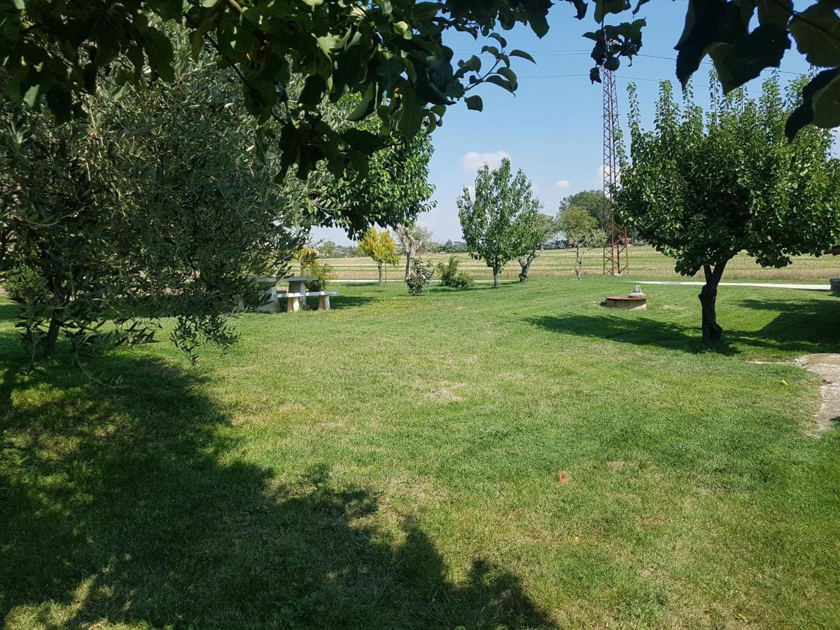 "La Grancia" Country House Guest House Treia Exterior photo